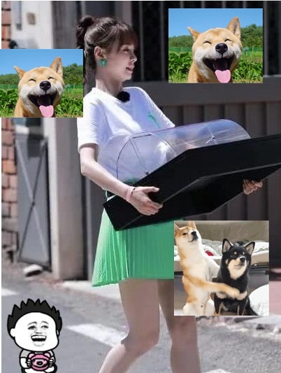 楊穎|沈夢辰獨自搬重物，黃曉明視而不見，杜海濤的做法引起爭論