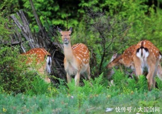 最新研究结果出炉,专家发现大大低估了中国,这一领域中国是主力