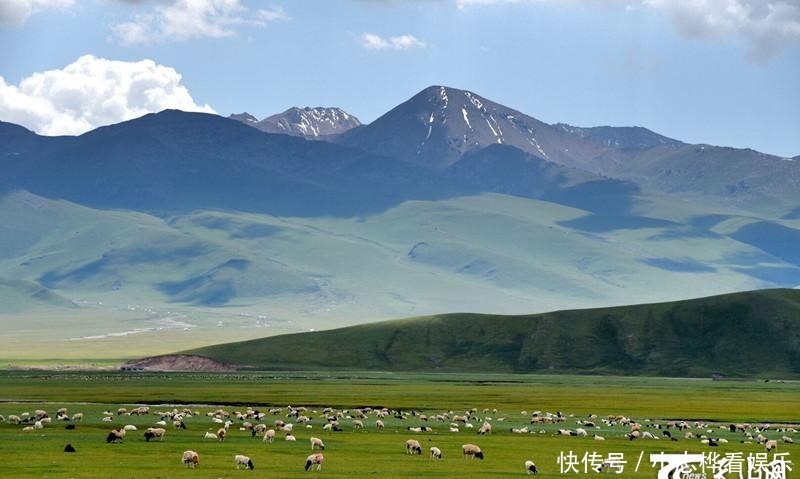 “绿色净土”，巴音布鲁克草原，天山南麓最肥最美的牧场！