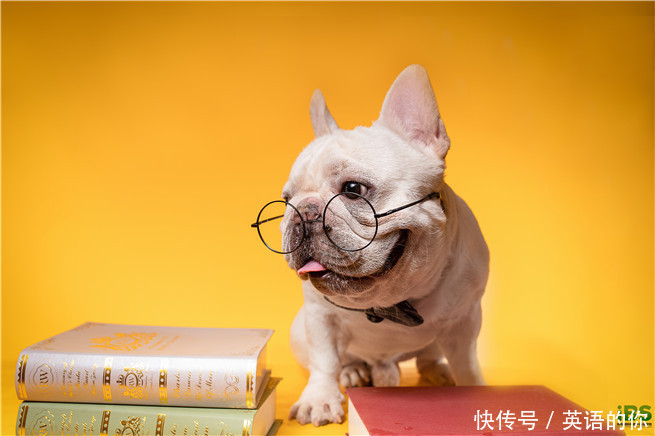 are an old dog可不是骂你,是什么意思呢?