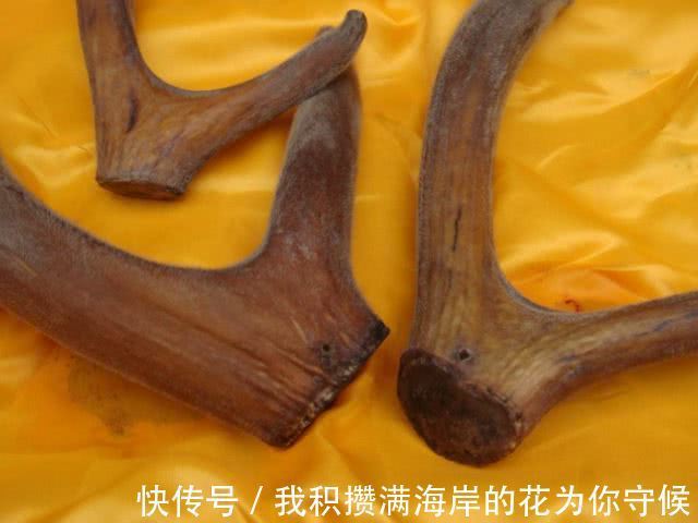 黄宫绣|养肾何必大腰子,这5样称为强肾“五虎将”,腰杆笔直还有劲