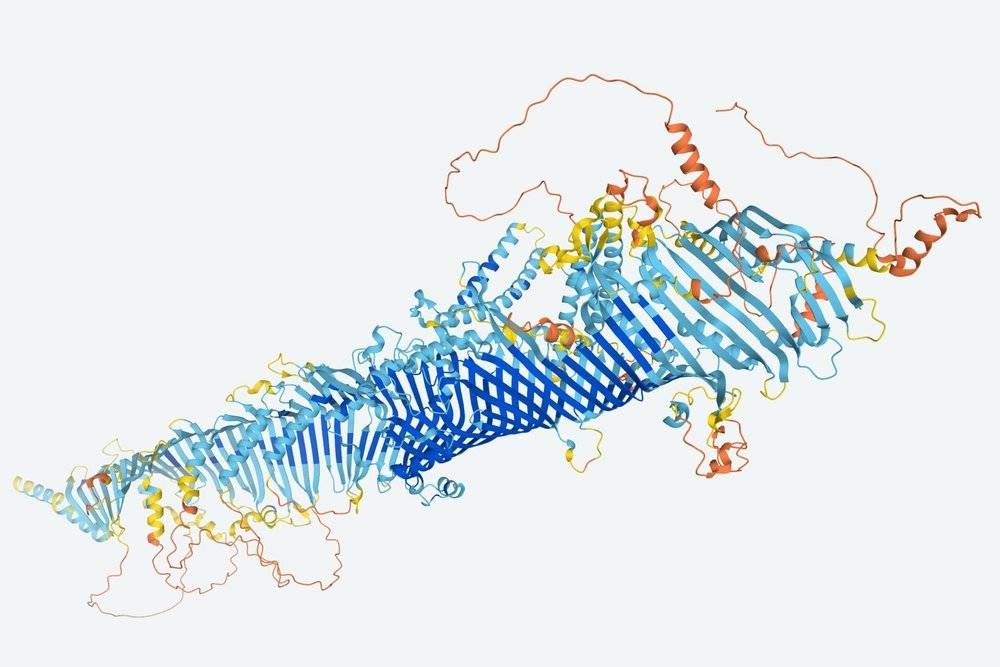 4年亏损250亿，“狗神”过的并不好