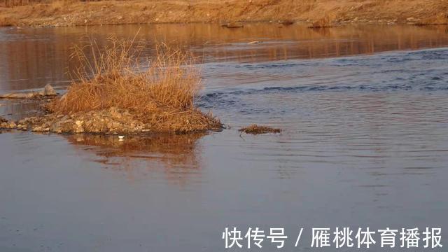 钓点走水,教你四个招数,激流一样能下杆