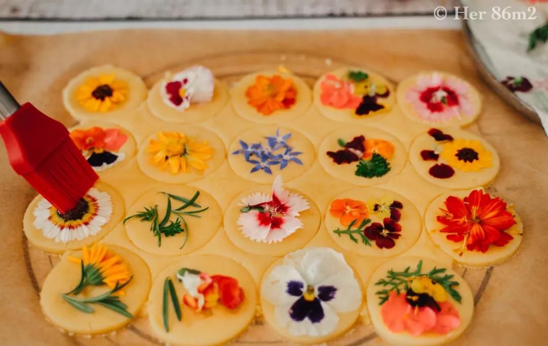 德国主妇将8㎡阳台打造成菜园，不花一分钱种够全家吃的菜