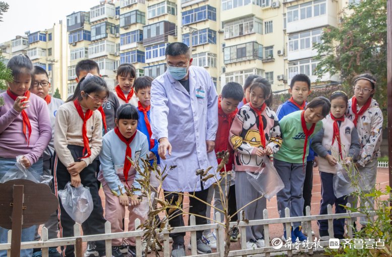 烟台市|烟台市中医医院中医药文化进校园，带孩子开展中草药标本制作之旅