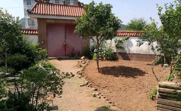 估价|他花3年打造中式庭院,不花钱全靠捡破烂,完工后专家估价百万!