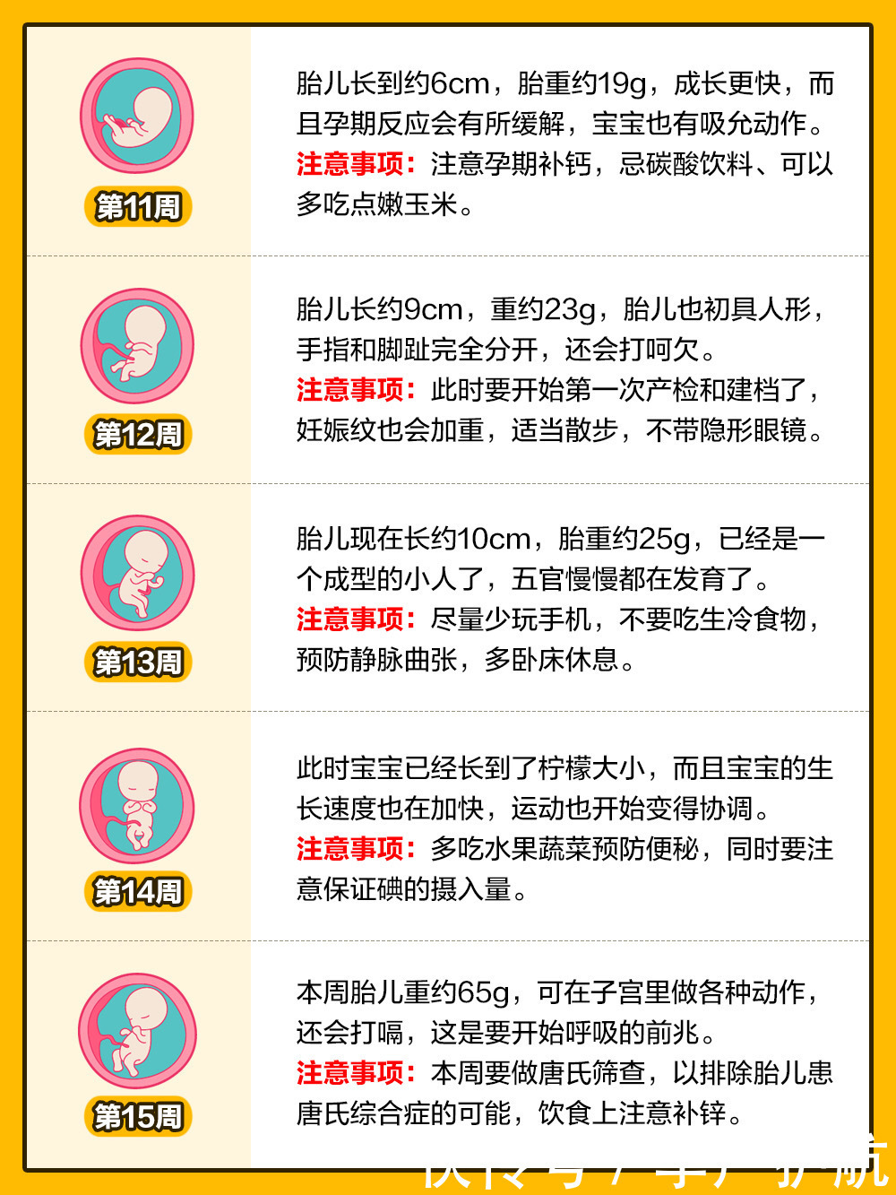 孕期1 40周 胎兒發育全過程變化和b超單解讀 中國熱點 孕期1 40周 胎兒發育全過程變化和b超單解讀 中國熱點