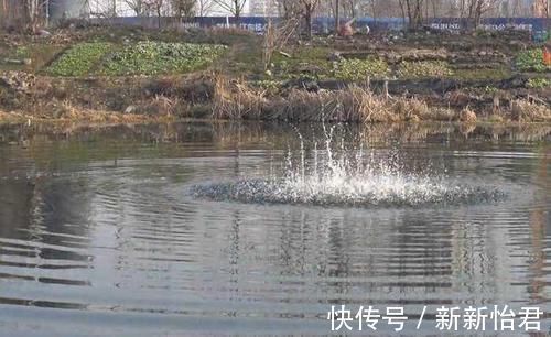 招贤榜@官员出上联:响水池中池水响,路过农夫对出下联,堪称经典!