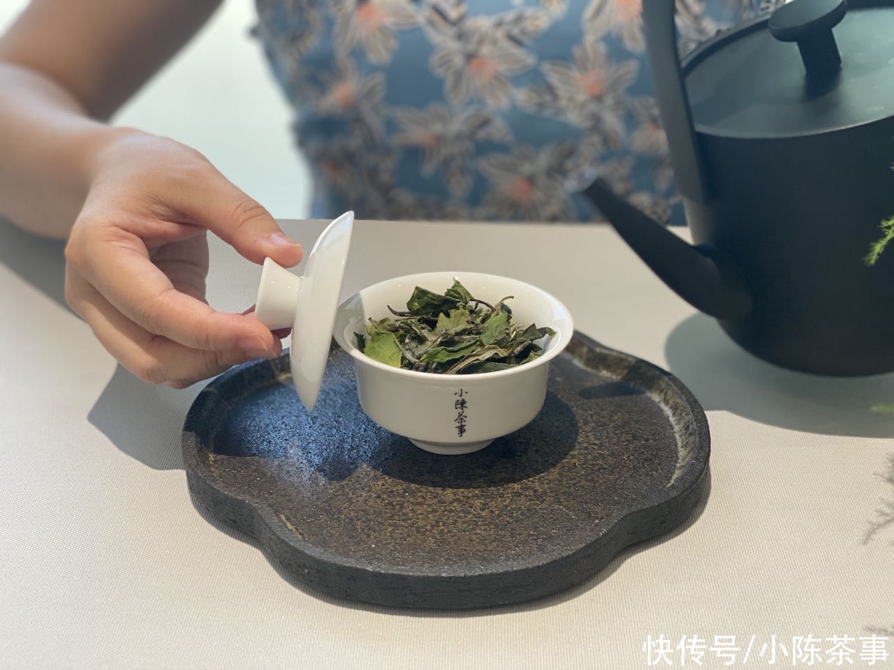 选茶|白茶要怎么冲泡才好？从选茶，到选器，择水，水温，教程很细致