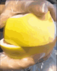 |搞笑GIF:大哥你这个摔法这么特殊,咋练的?