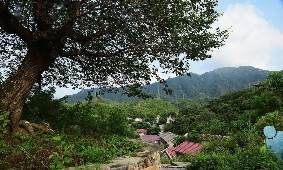 登山步道|北京昌平，人少景美的高山村落，完善的登山步道，只为赏秋而来