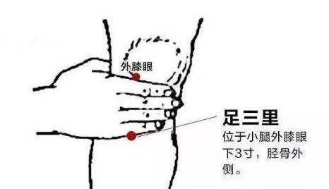 脾胃虛，導致衰老的元兇！打開身上這個開關，補益氣血，延年益壽