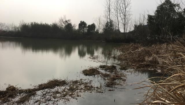 没有水草就不能钓鱼了吗根据这4点来找鱼,下竿之处即咬钩