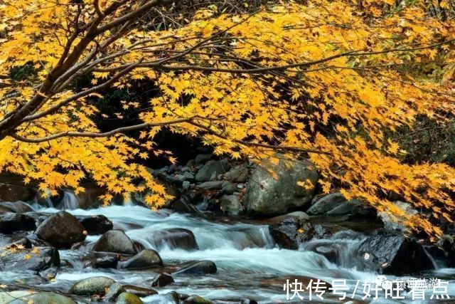 叶子|魅力陕西行·雨后，寻觅镇坪最诗意的秋天