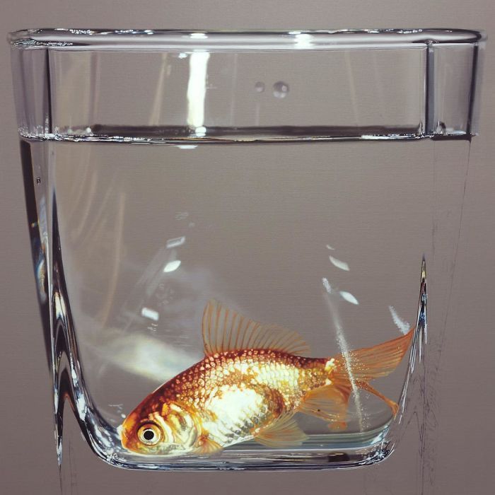 手艺&乍一看是照片！60张“欺骗”眼睛的绘画，有这手艺还要相机干什么