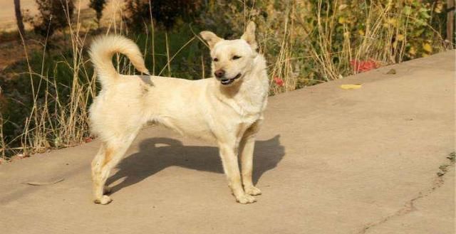 四等秀才|不出名却文采飞扬的3副对联,水平很高,让人打心眼里佩服