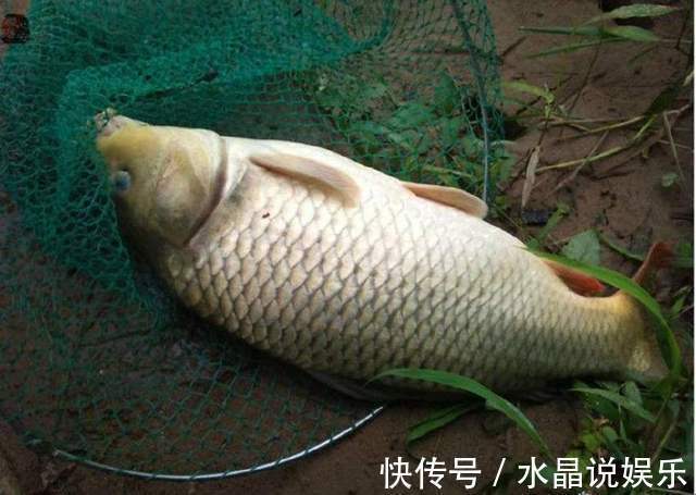 挤压处|怎样辨别鱼线的好坏老钓友教你几招,别再傻傻的被渔具老板骗了