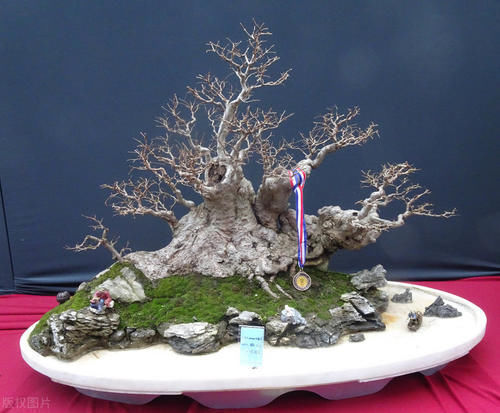 别再为浇水发愁了,给你支招“10多10少”浇水法,比啥方法多管用