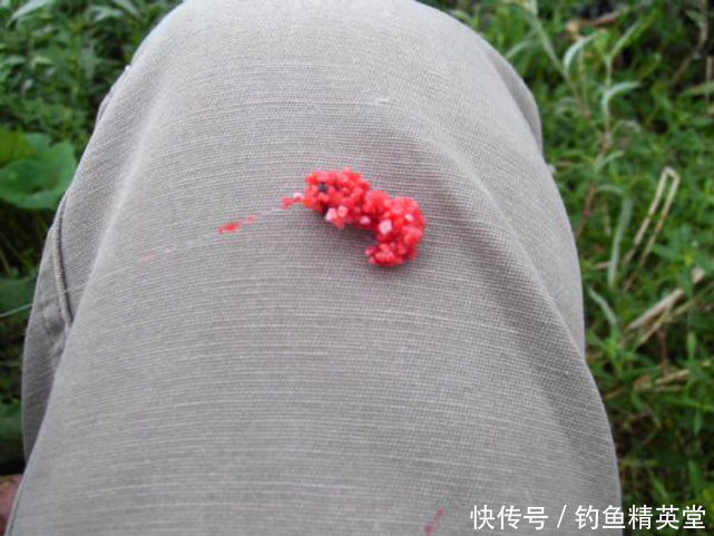  寥寥无几|花了大把的银子，钓上来的鱼还是寥寥无几，说说如何自制鱼饵？