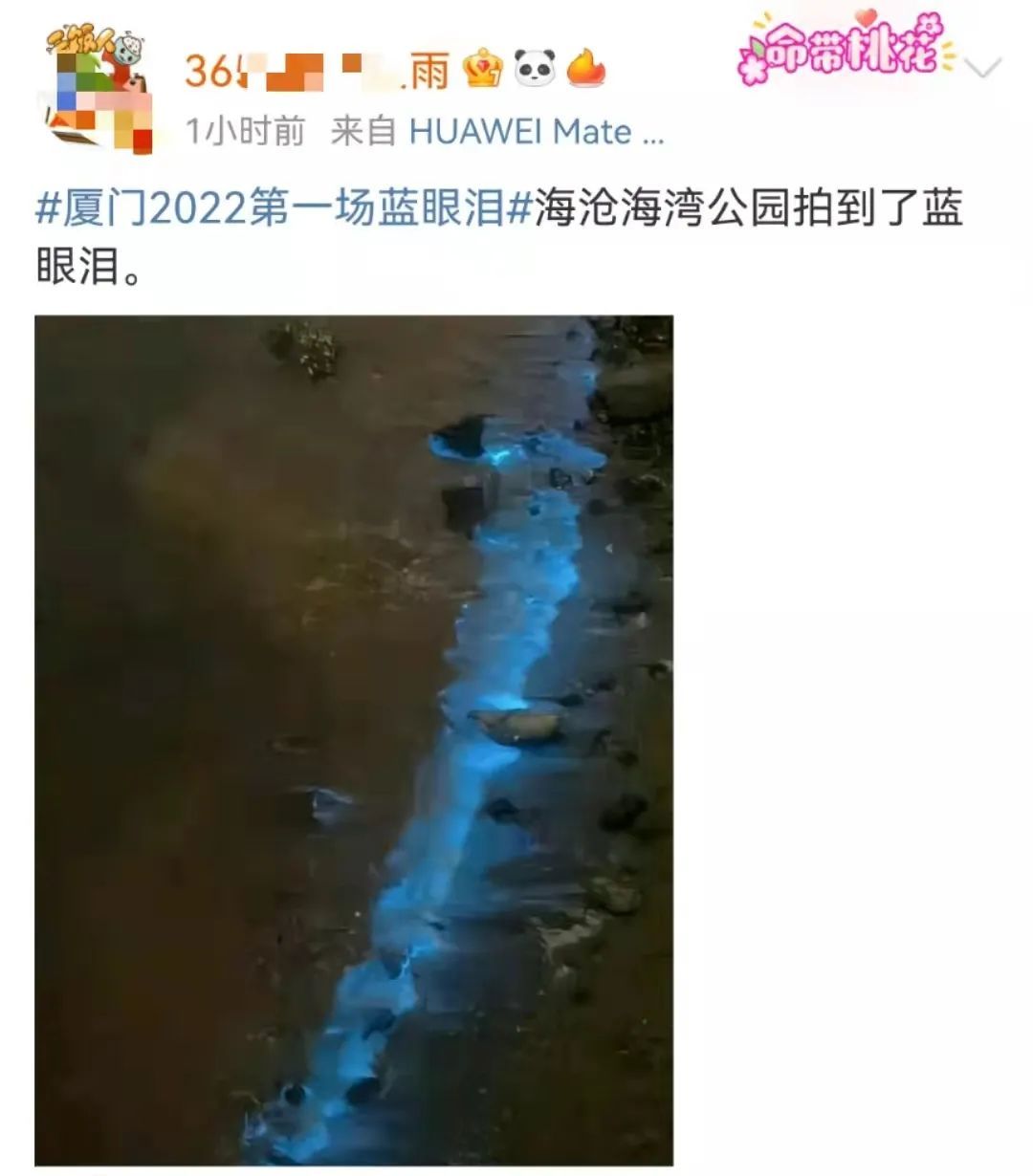 海峡导报|突发！厦门海沧湾公园人人人人人