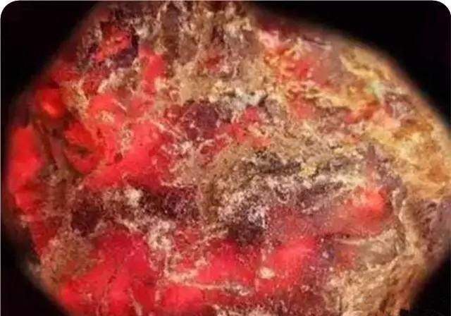 印尼柯巴脂|柯巴脂,和琥珀蜜蜡到底有多像?