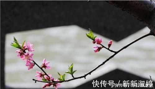 出息|出生在几点钟的孩子,智商最高,将来一定大有出息,前途光明