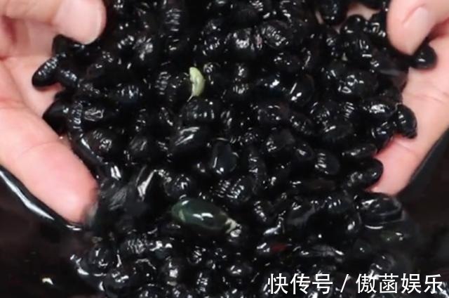 醋泡黑豆|黑豆全身都是宝,简单一做,营养又好吃,美容护发,养生效果极好