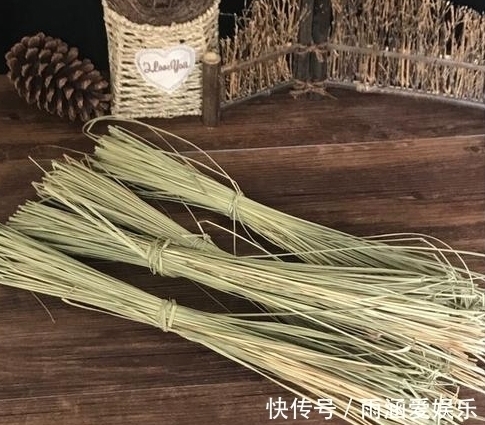 此种像韭菜一样的花卉,它的叶子可是宝,观赏,做手工无所不能