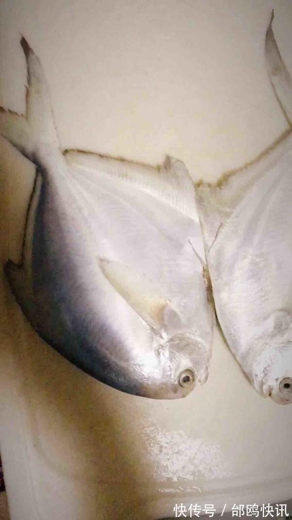 别在外面吃烤鱼了,你不知道的秘密,鱼,在家里做更好吃