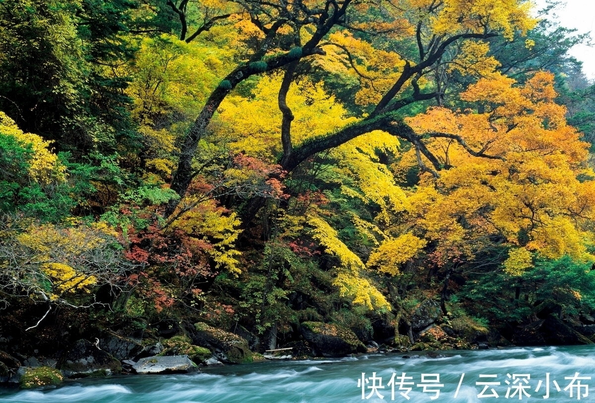 太上玄元@此人仅一首诗传世,短短20字,却比李白《山中问答》更精妙