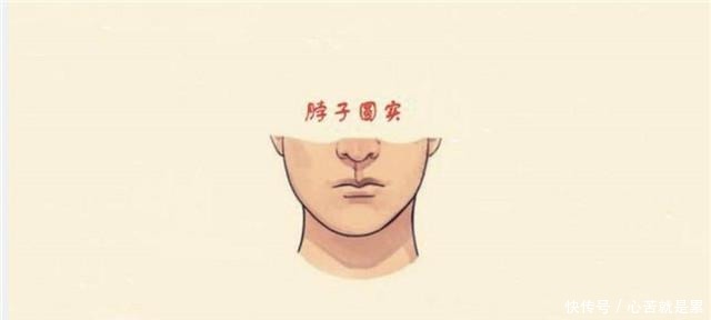  高领|打底衫不会选一件“高领衣”就轻松解决，时髦百搭又保暖，爱了