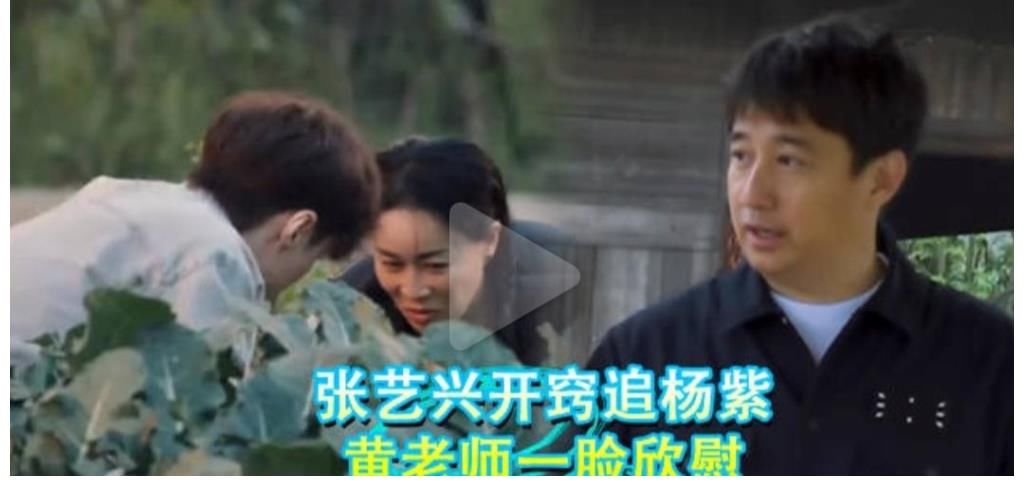 八卦|那英八卦张艺兴杨紫恋情,黄老师一心撮合二人,张艺兴努力追杨紫