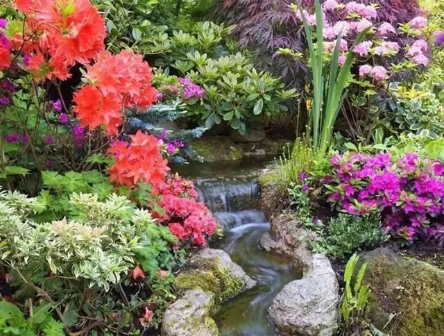  绝美|7旬夫妻用27年建绝美花园，全球花友慕名来“探花”