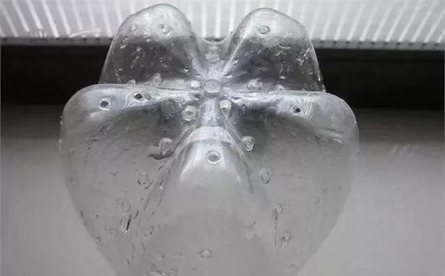 雪碧瓶|想吃豆芽1个“雪碧瓶”就能做,只要花个豆子钱,7天冒出一桶