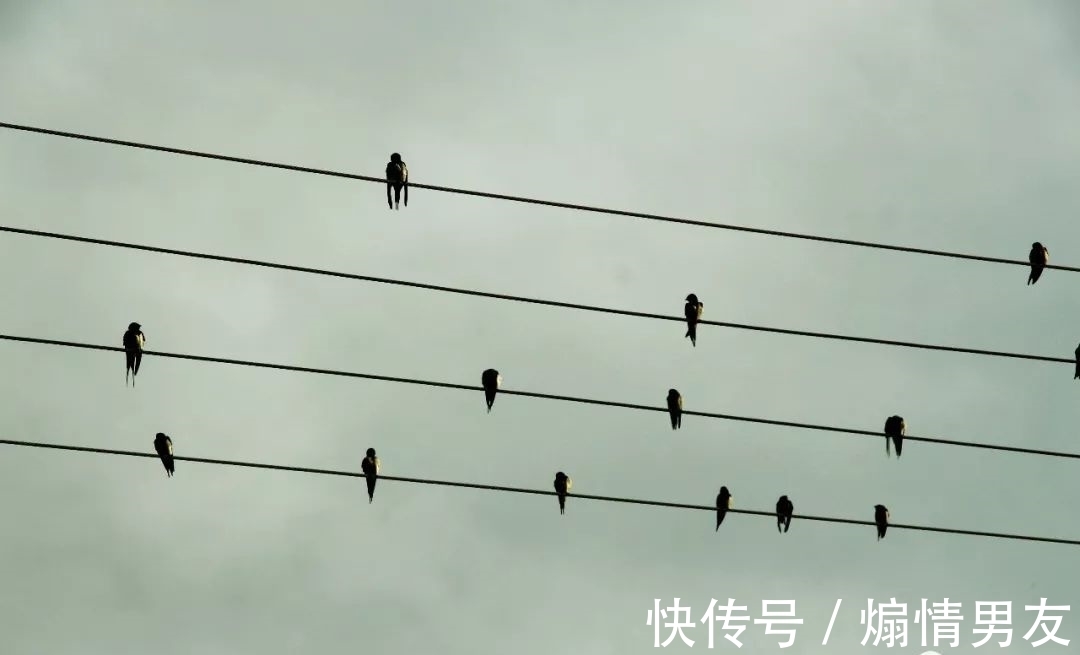 石狗@到南安!到九溪!到那“石狗蛋”的山中世界!