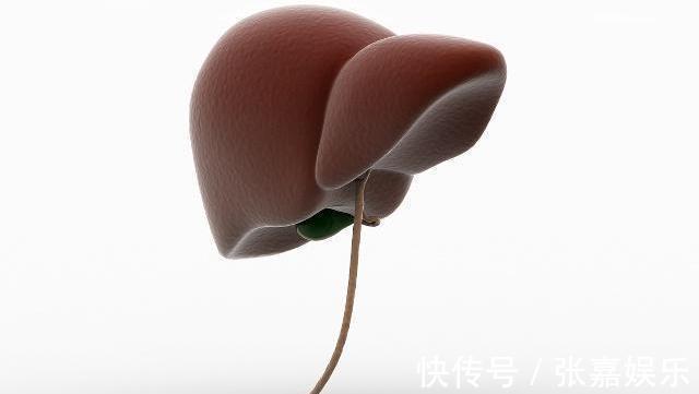 泡水|枸杞三斤可能抵不过此物一钱，泡水喝点，降火补脾，肝慢慢变好