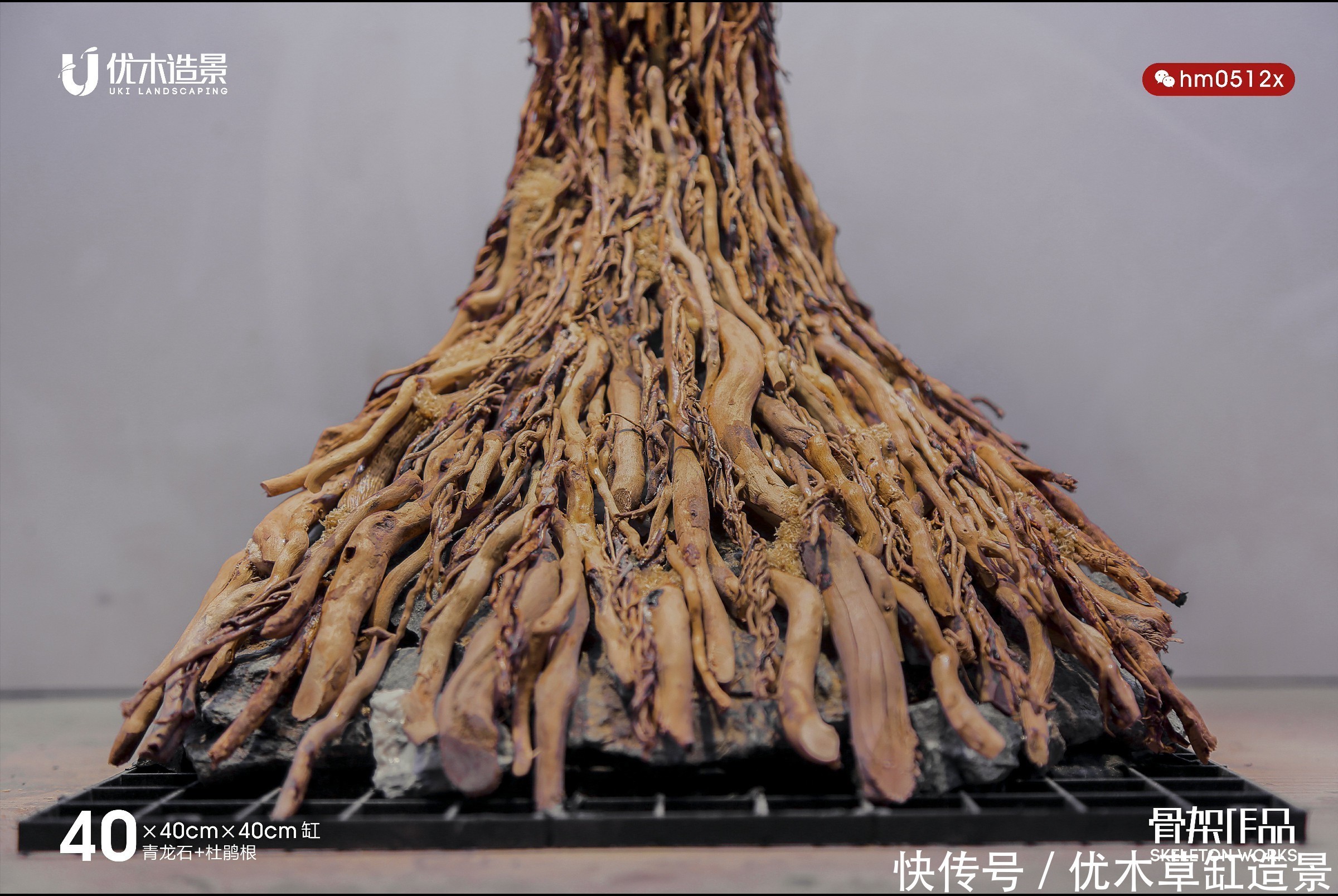 闲说几句,再来看四零方缸的生命之树的草缸造景骨架