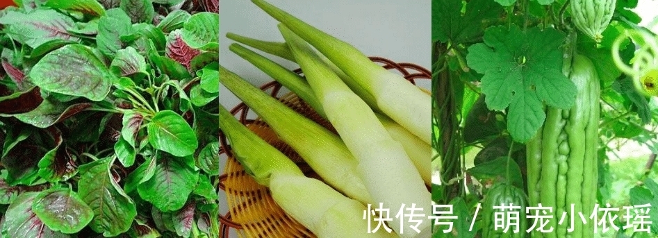 蔬菜|这六类蔬菜记得焯水后才吃，多数人都忽略，为了家人再懒也别做错