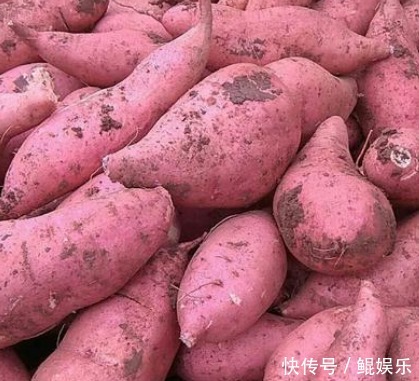 挑红薯,认清“红心”“黄心”再购买,这两者差别很大,别买错了