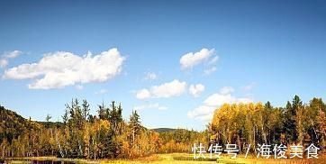 词人|张抡最经典的一首词,诗中有画,辞意兼美,令人心醉