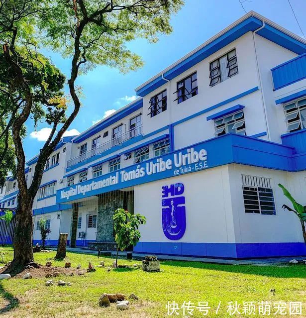 遗体|夫妻痛失女儿,去医院处理遗体,打开盒子里面竟是死老鼠