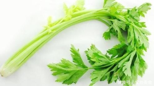 芹菜有营养,但是芹菜与一些东西不能一起吃,你都了解吗