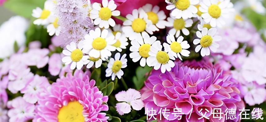 网套|养花从不醒盆,醒花,别假装你会养花