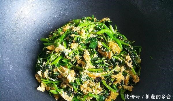 金雞納霜|這菜是身邊“小鈣王”，夏季吃它消暑解熱開胃，一定要早點知道！