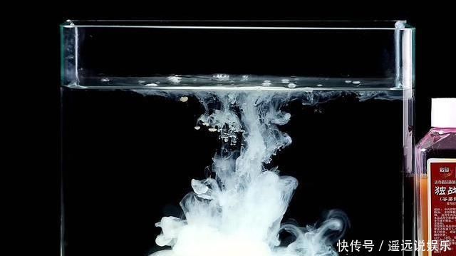 饵料和小药都有“建议用量”这看似合理配饵，却有3大致命弊端