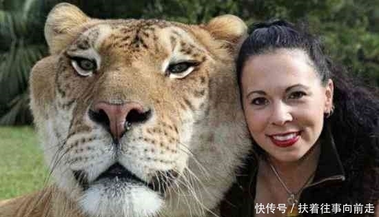 打破|全球最“特殊”的三项吉尼斯,最后一项几乎无人能打破!