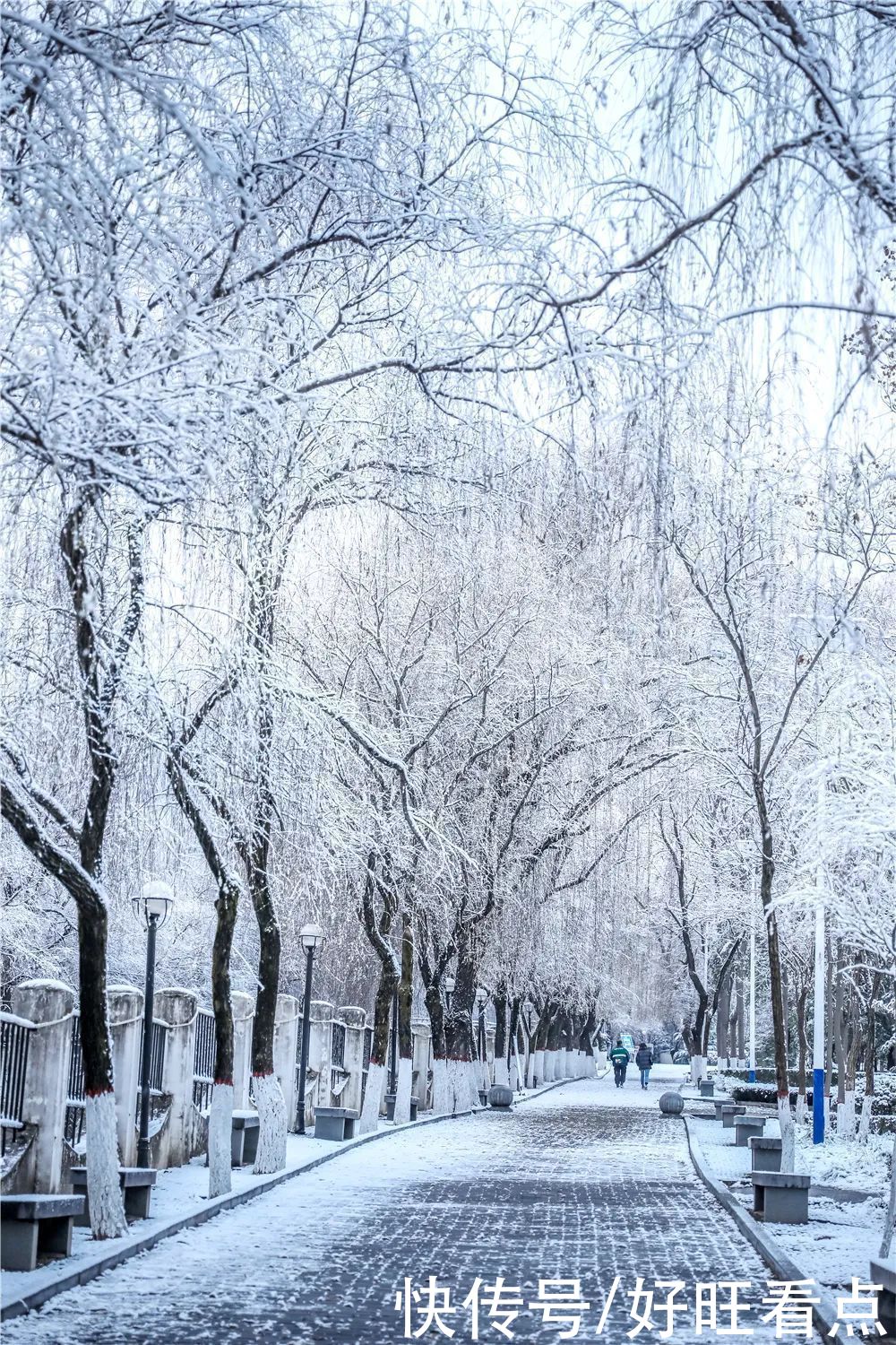 西安翻译学院：银装素裹雪景美如画