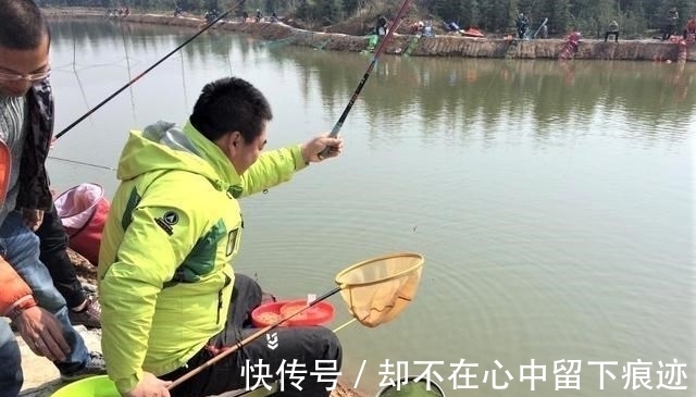 秋天野钓鲤鱼用什么饵料较好?这样搭配饵料,连竿几率更高