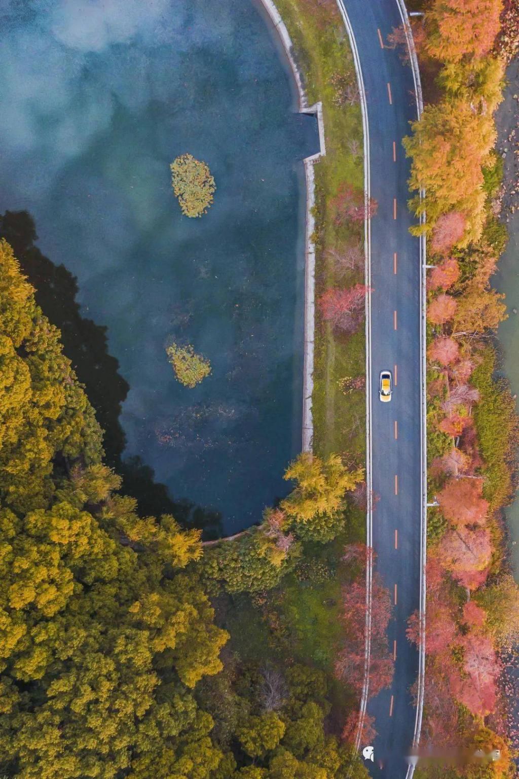 上图片取景|武汉冬景，才不是你想的那样！