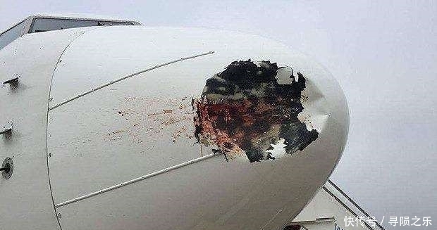 飞机 为什么飞机一定要飞上1万米高空？专家告诉你，1万米以下多危险